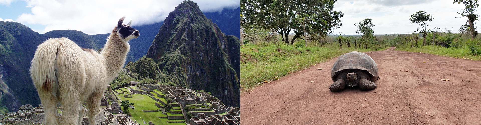 En rundreise fra Machu Picchu til Galapagos