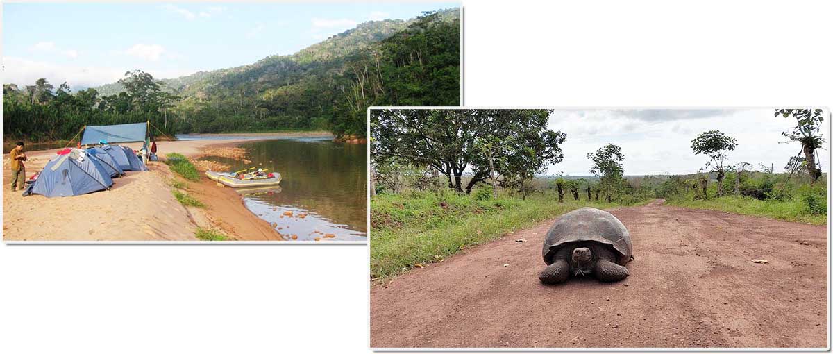 1. Rafting fra Andes ned til Amazonas / Utforsk Galapagos